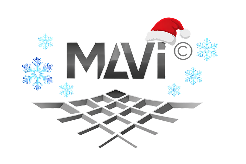 MAVI PROJECT
